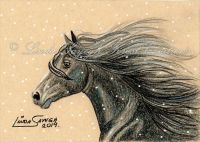 Black Horse